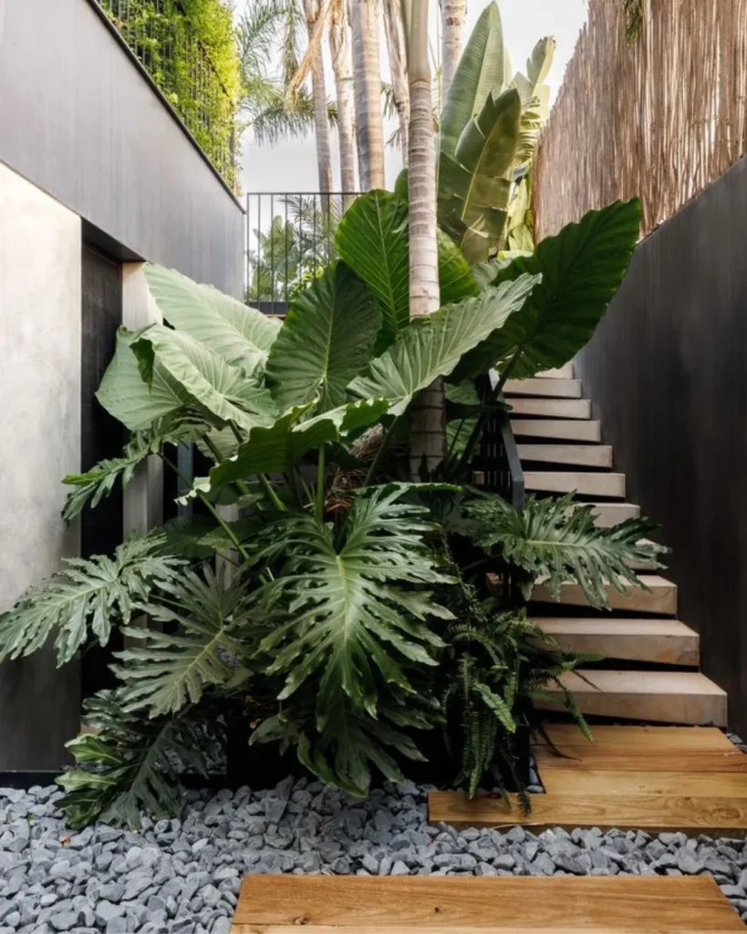 curso diseno exteriores paisajismo