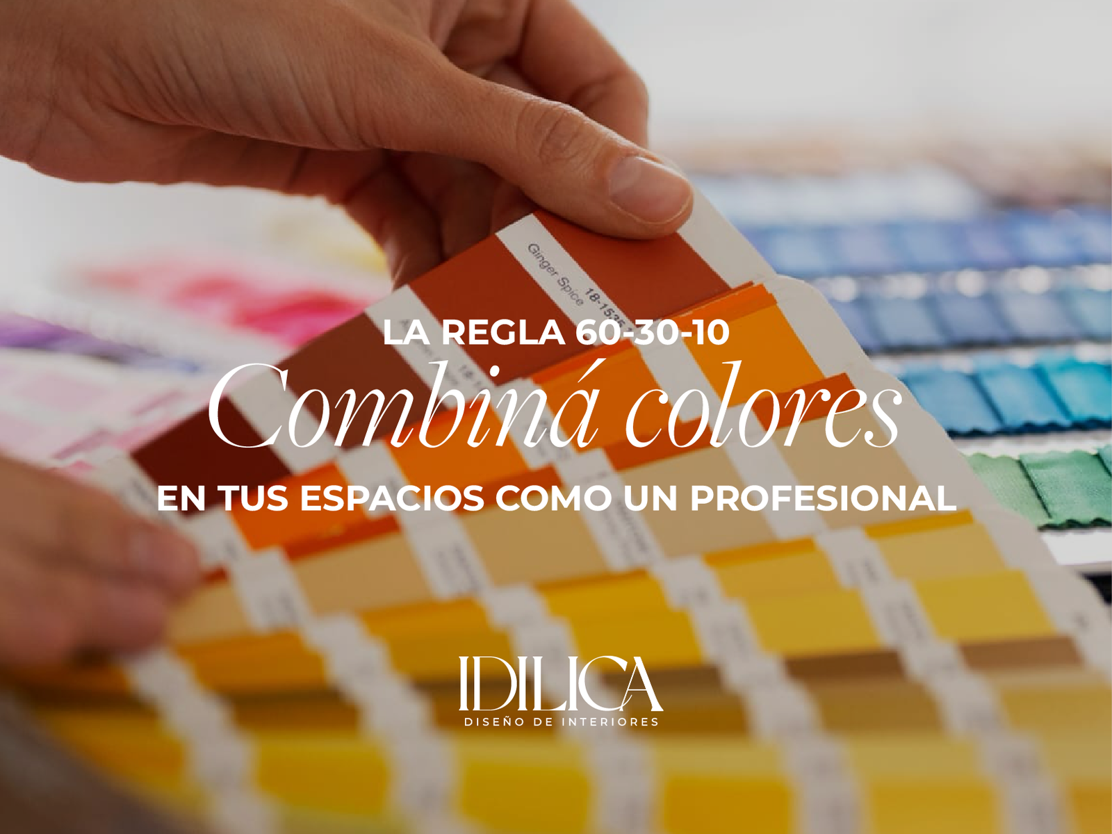 PORTADA 8